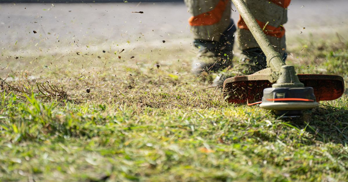 Φροντίδα Γκαζόν & Συντήρηση Χλοοτάπητα