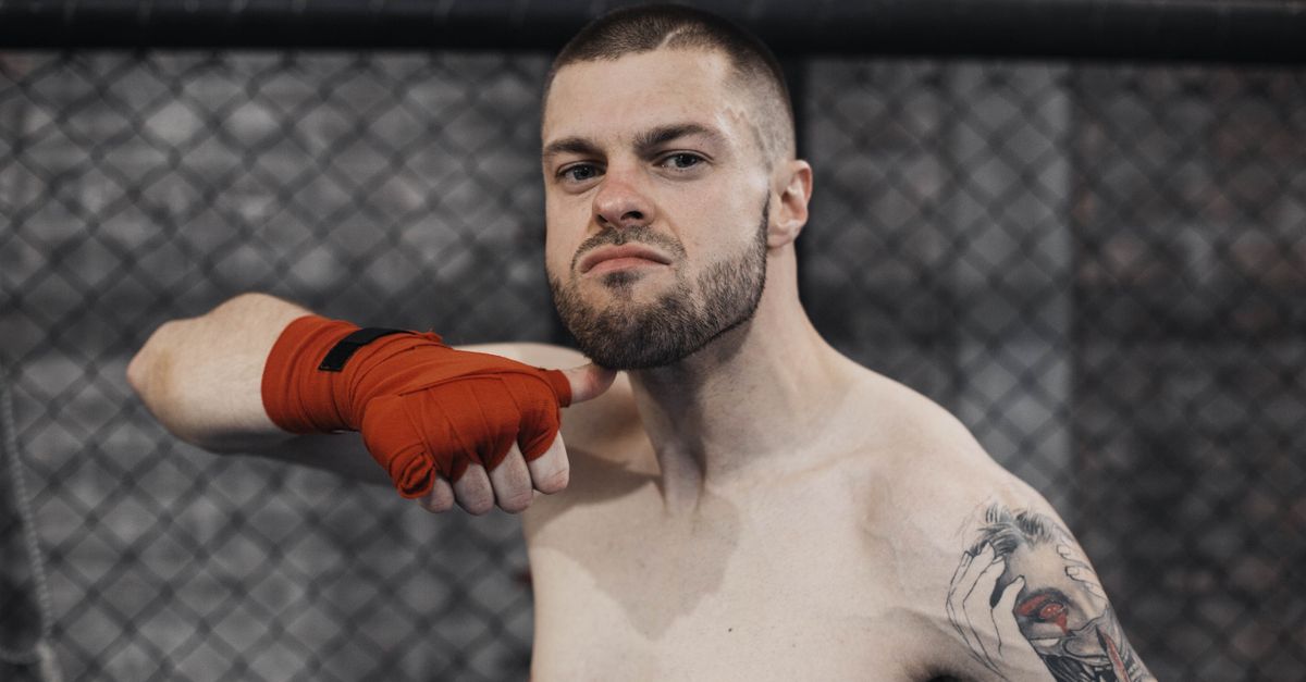 Μικτές Πολεμικές Τέχνες (MMA)